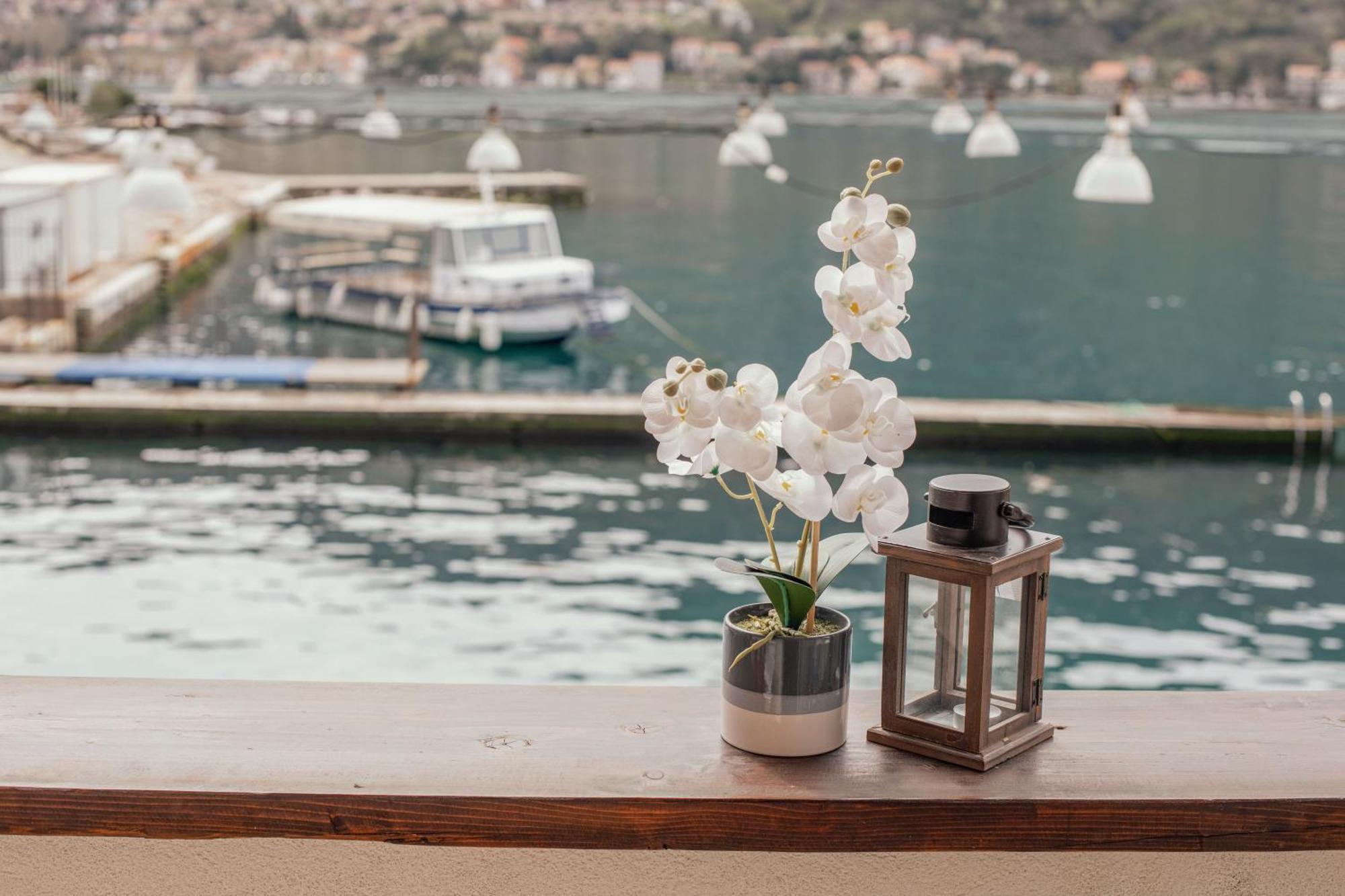 Step To Kotor Bay Guesthouse Екстериор снимка