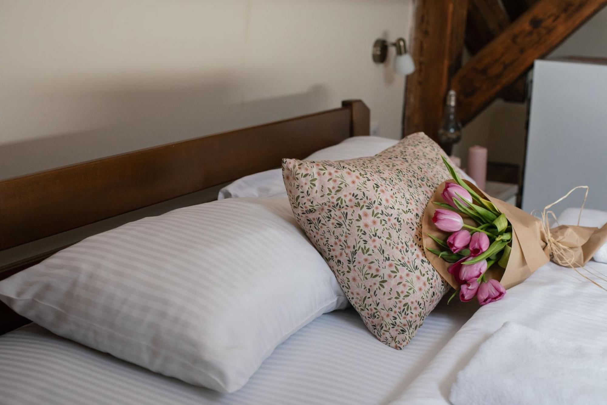 Step To Kotor Bay Guesthouse Екстериор снимка